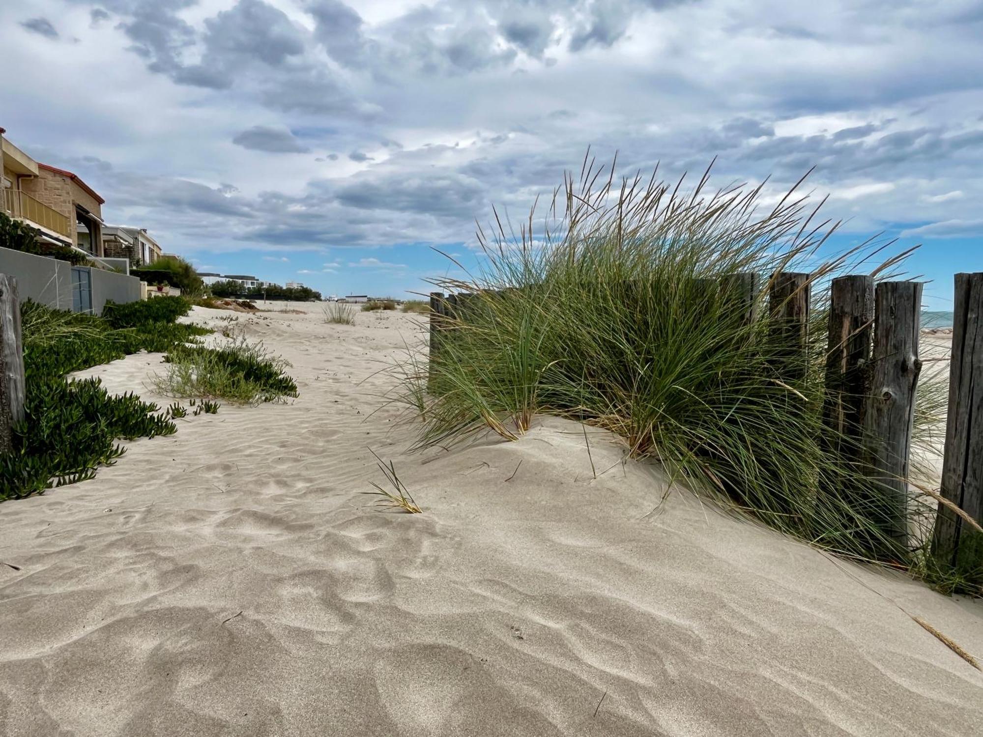 Les Sables De Palavas - T2 A 50M De La Plage - Clim, Wifi エクステリア 写真